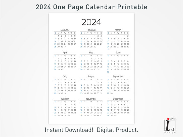 Printable Wall Calendar 2024 | Calendar 2024