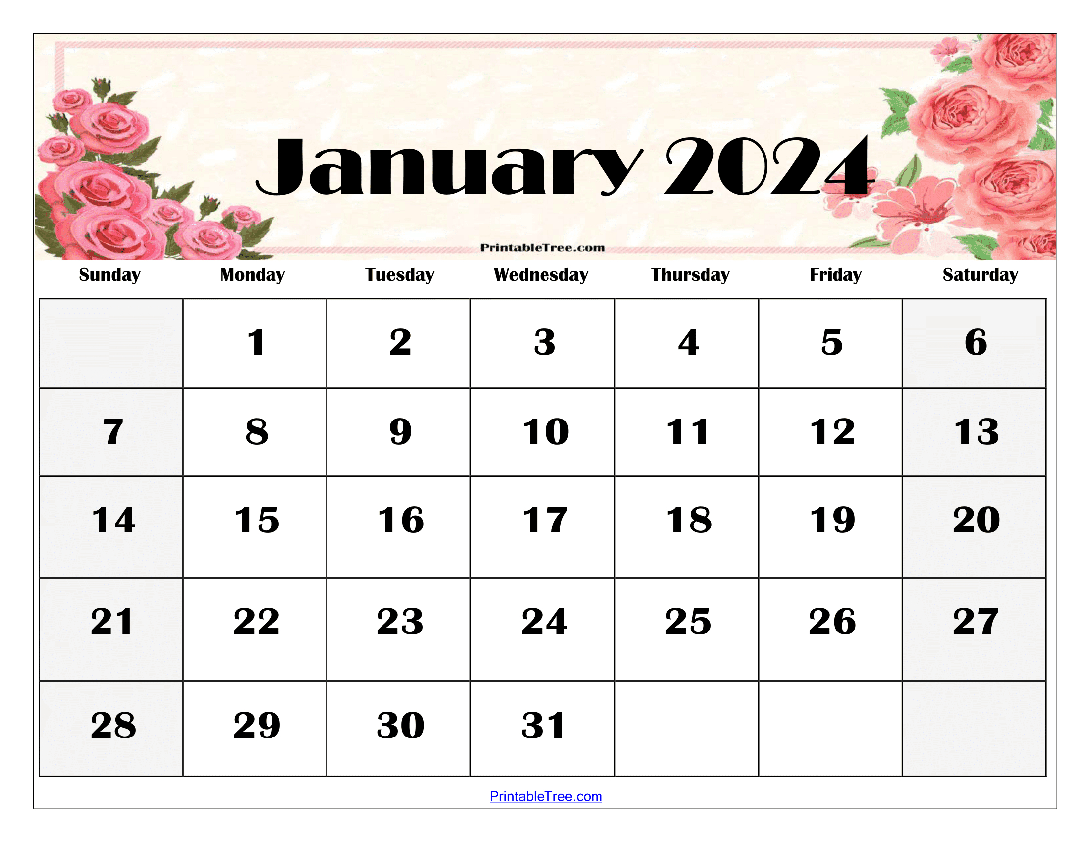 January 2024 Calendar Printable Pdf Template With Holidays | 2024 Monthly Calendar Printable PDF