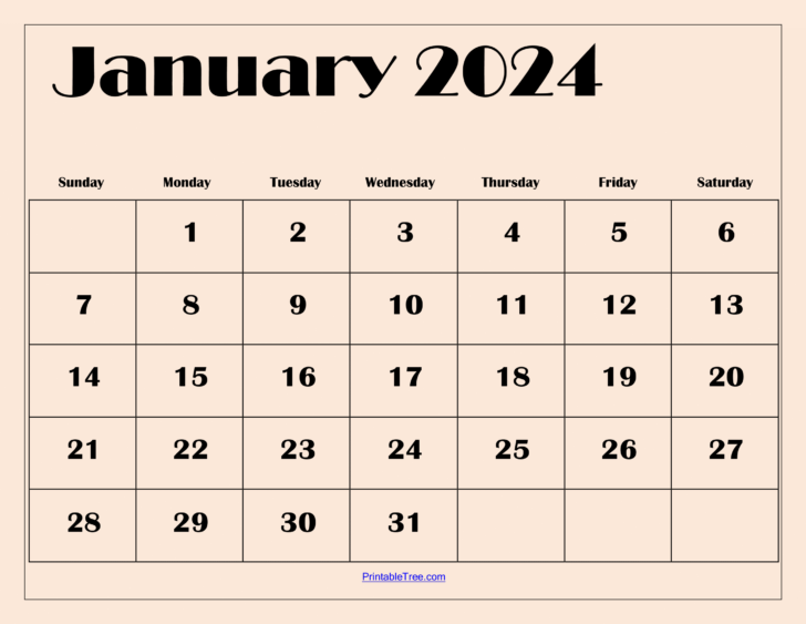 Printable 2024 January Calendar | Calendar 2024