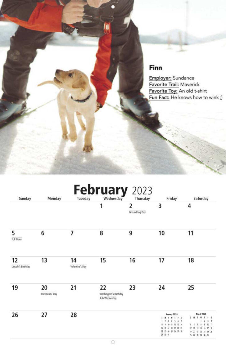 Avalanche 2023 to 2024 Printable Calendar | Calendar 2024