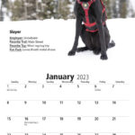 Wasatch Backcountry Rescue 2023 Calendar Fundraising |  Calendar 2024