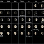 2024 Moon Calendar   Every Phase And Stage Of The Moon |  Calendar 2024