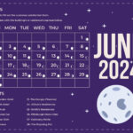 June 2024 Calendar With Moon Phases In Eps, Illustrator, Jpg, Word |  Calendar 2024