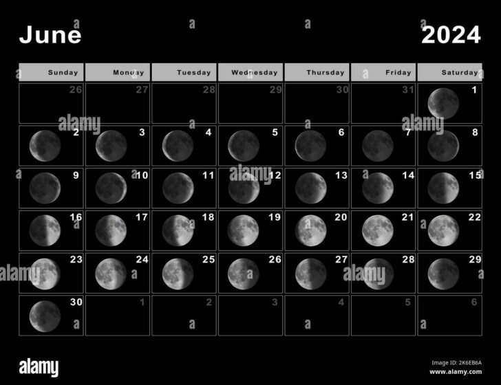 Moon Phase Calendar June 2024 | Calendar 2024