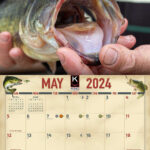 2024 Bass Fishing Calendar | Best 2024 Fishing Calendar | July 2024 Fishing Calendar