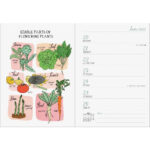 Julia Rothman Farm, Food, Nature Engagement Calendar 2022 | Julia Rothman Engagement Calendar 2024