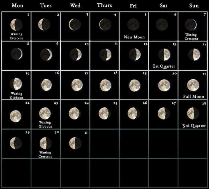 July 2024 Calendar With Moon Phases | Calendar 2024