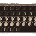 Moon Phases Calendar 2024: Printable Monthly Templates | Moon Cycle Calendar July 2024
