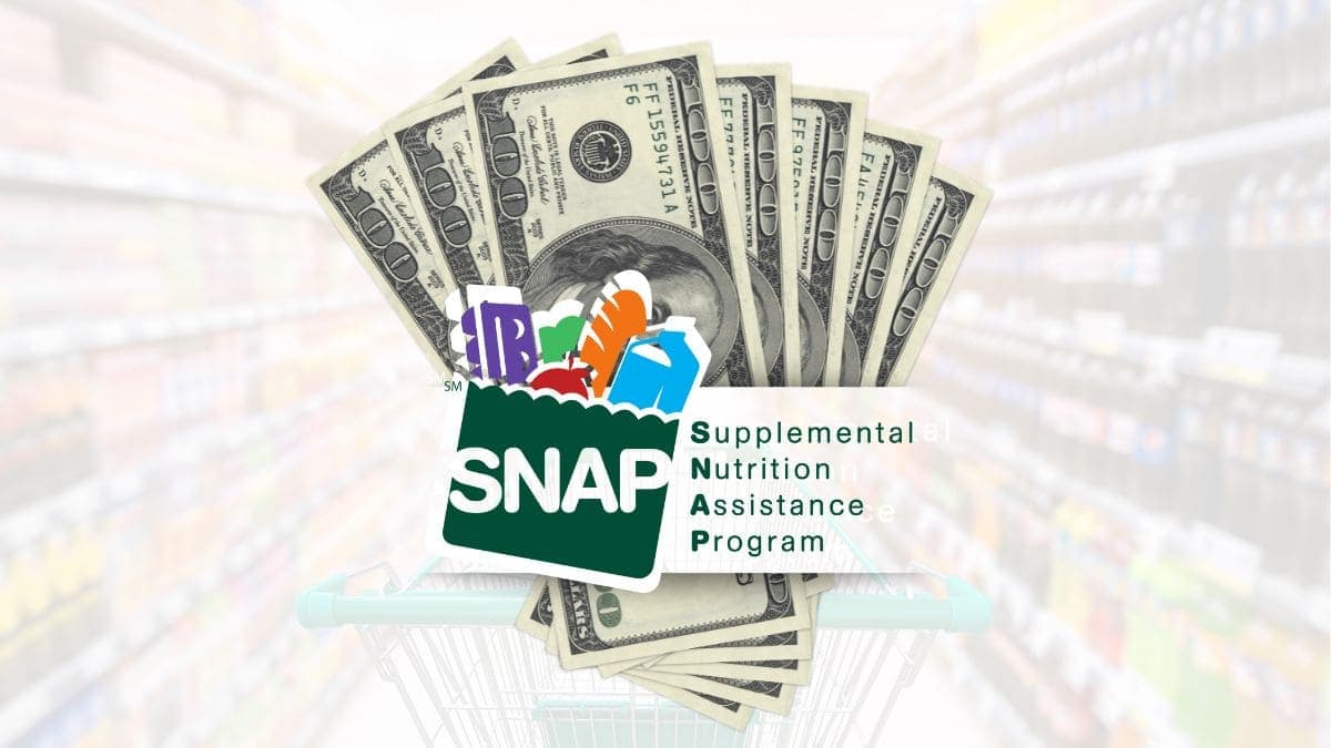 Snap Food Stamps - The New May Calendar Is Now Available To All | EBT Calendar July 2024