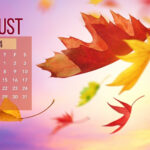 August 2024 Desktop Wallpaper | Entheosweb | August 2024 Calendar Background