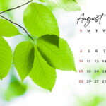 August 2024 Desktop Wallpaper | Entheosweb | August 2024 Calendar Desktop Wallpaper