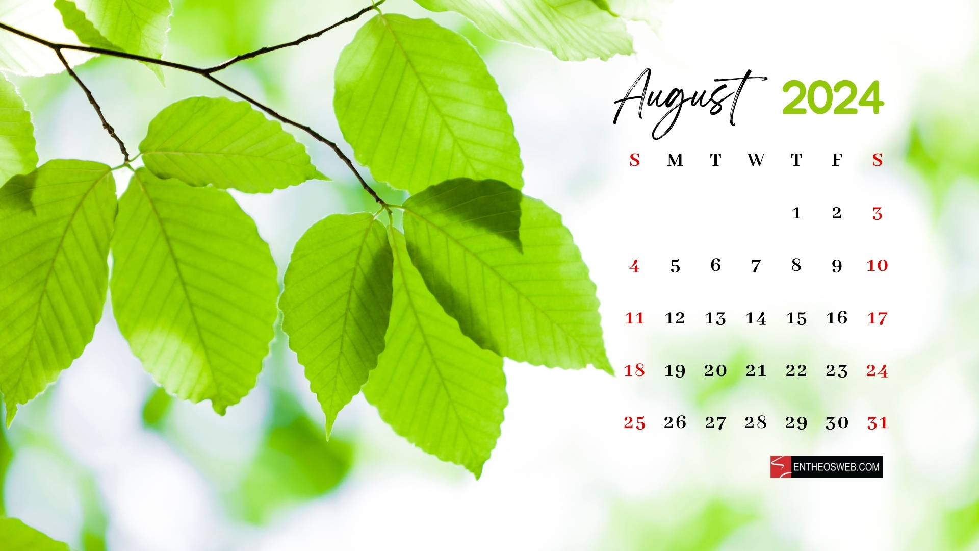 August 2024 Desktop Wallpaper | Entheosweb | August 2024 Calendar Desktop Wallpaper