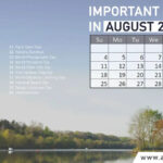 Important Days In August 2024: List Of National, International Dates | National Day Calendar August 2024