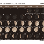 Moon Phases Calendar 2024: Printable Monthly Templates | August 2024 Moon Calendar