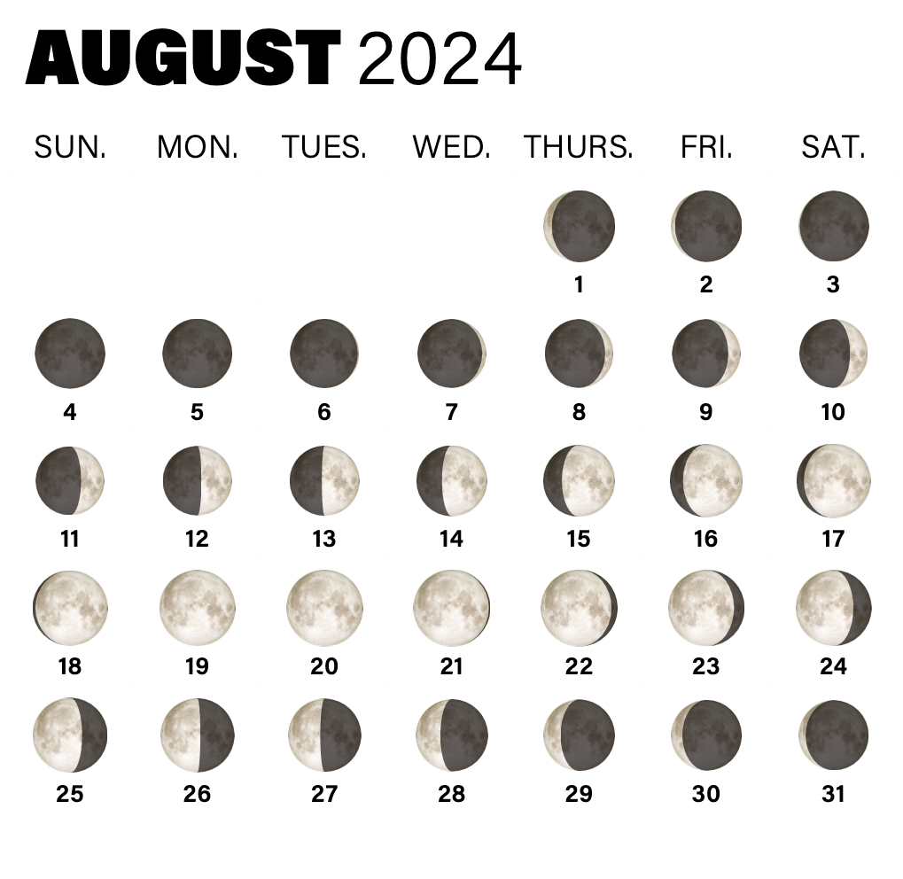 2024 Full Moon Calendar: When To See The Full Moon And Phases | Calendar 2024