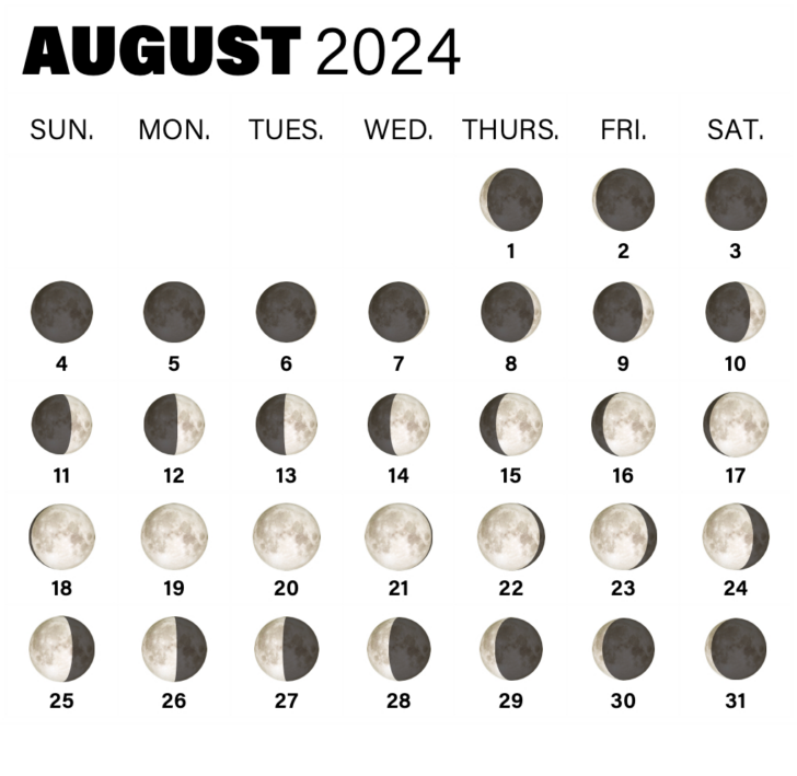 Full Moon Calendar for September 2024 | Calendar 2024