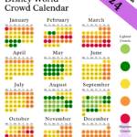 Disney World Crowd Calendar 2024: Best Times To Visit This Year | Disneyland September 2024 Crowd Calendar