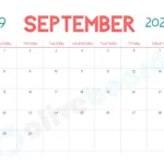 Important Days In September 2024, Check National And International |  Calendar 2024