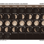 Moon Phases Calendar 2024: Printable Monthly Templates |  Calendar 2024