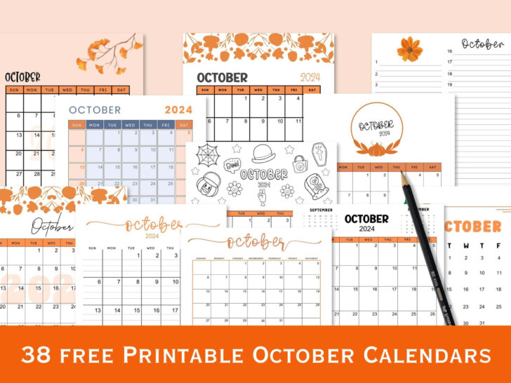 November Calendar 2024 Printable Wincalendar | Calendar 2024