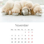 November 2024 Year Photo Calendar With Cute Dogs. Annual Daily | Printable Animal Calendar November 2024