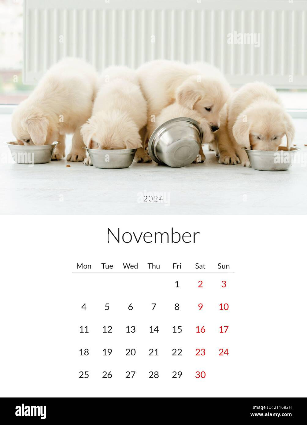 November 2024 Year Photo Calendar With Cute Dogs. Annual Daily | Printable Animal Calendar November 2024