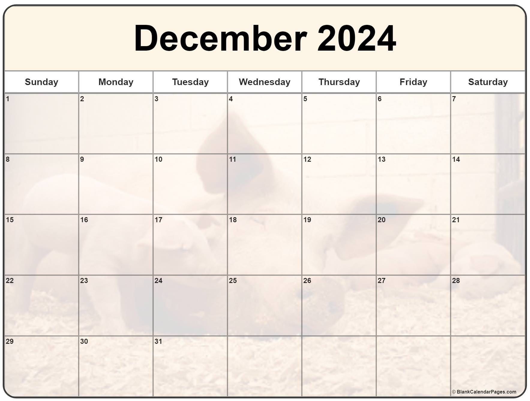 Collection Of December 2024 Photo Calendars With Image Filters. | Calendar 2024