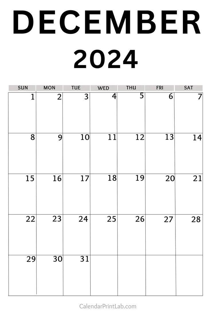 December 2024 Calendar Printable | Blank December 2024Vertical Calendar Printable