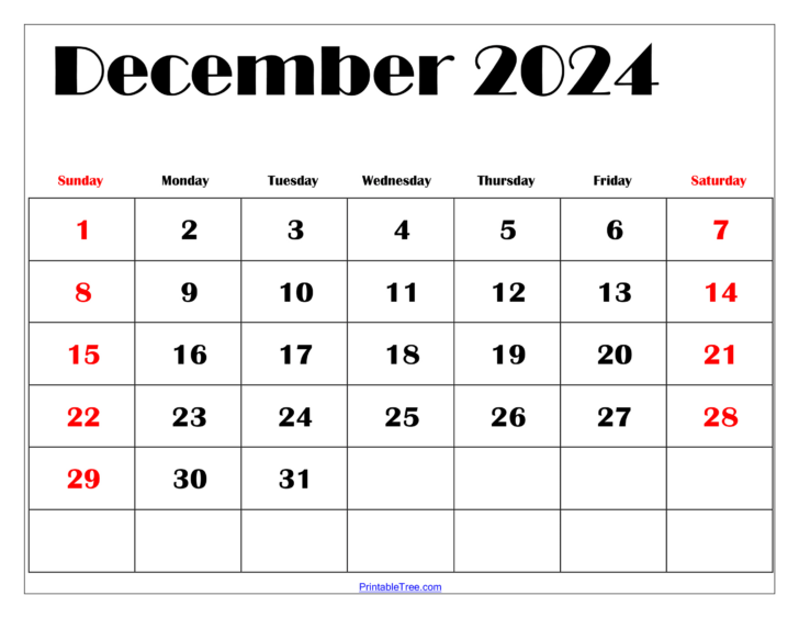 2024 Feb December Calendar Printable | Calendar 2024