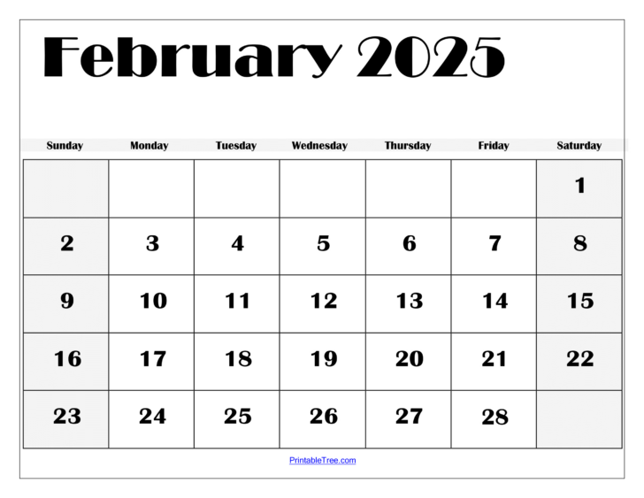 December 2024 January February 2025 Calendar Printable | Calendar 2024