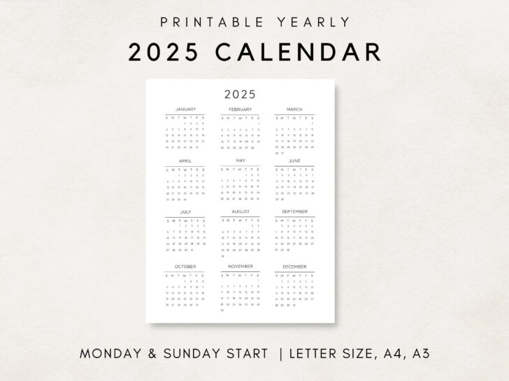 2025 Year at A Glance Calendar Printable | Calendar 2025