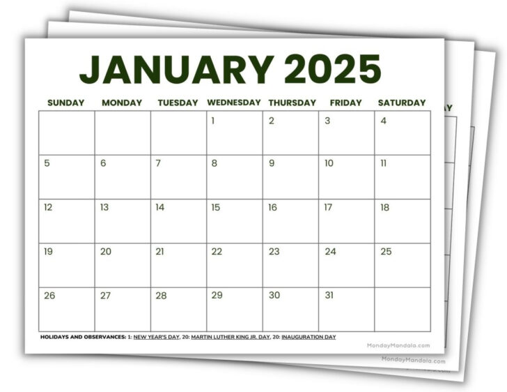 Free Printable 12 Month Calendar 2025 | Calendar 2025