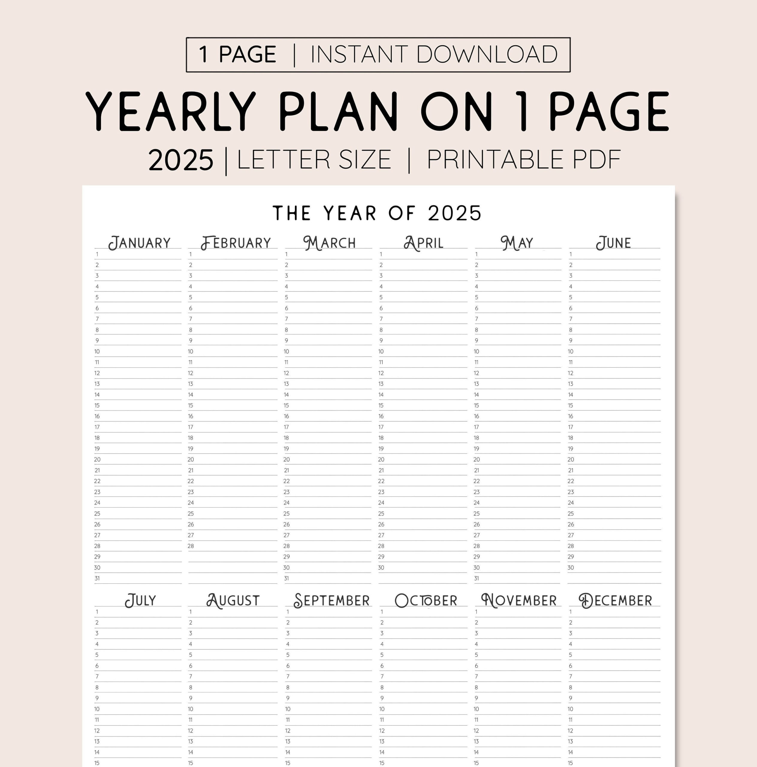 2025 Year At A Glance, Instant Download, Yearly Overview | 2025 Planner Calendar Printable