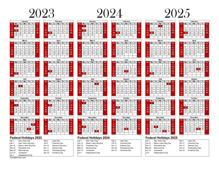 Printable 3 Year Calendar 2023 to 2025 | Calendar 2025