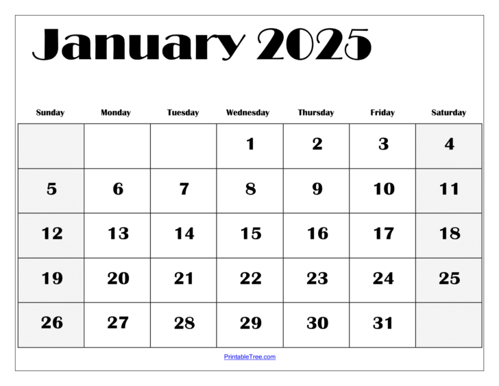 January Printable Calendar 2025 | Calendar 2025