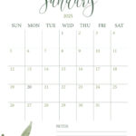 January 2025 Calendars – 107 Free Printables | Printabulls | Free Printable January 2025