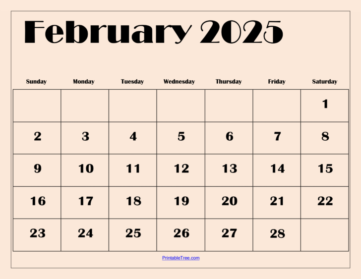 2025 Calendar of February | Calendar 2024