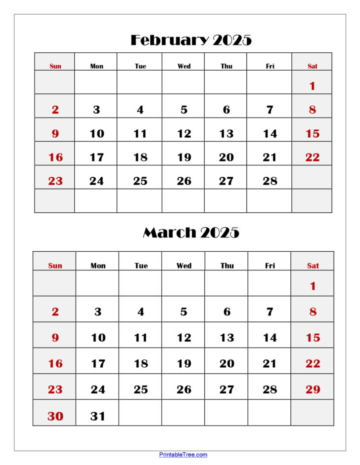 February March 2025 Calendar Printable | Calendar 2024