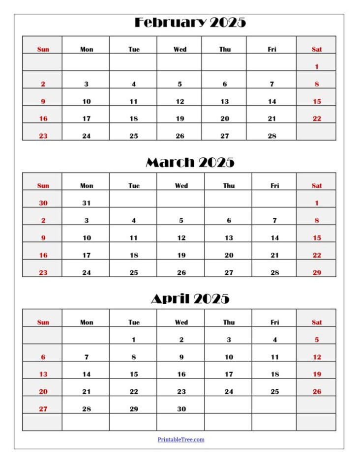 Calendar February March 2025 | Calendar 2024