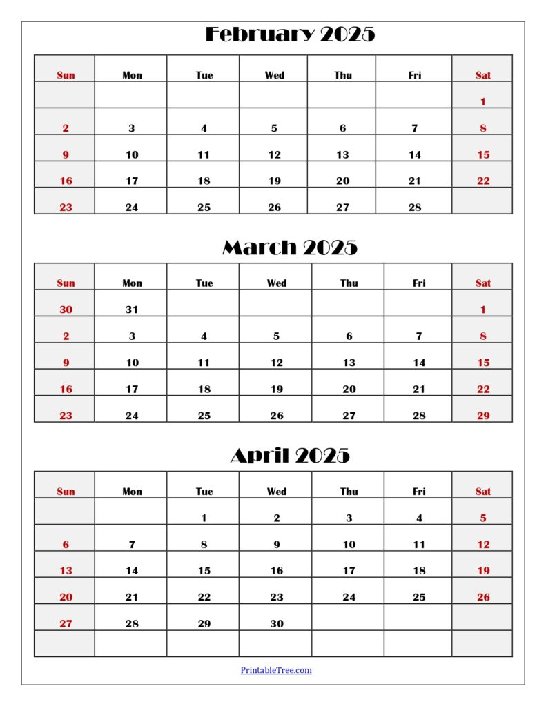 January To March 2025 Calendar | Three Months Calendar | Calendar February March 2025