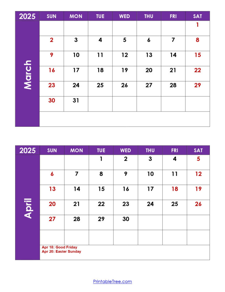 February March April 2025 Calendar Printable | Calendar 2024