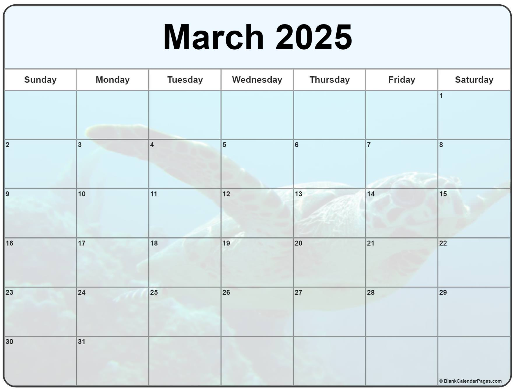 Collection Of March 2025 Photo Calendars With Image Filters. | March 2025 Printable Calendar Wiki