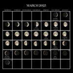 Jurlique Moon Calender 2025 楽しく |  Calendar 2025