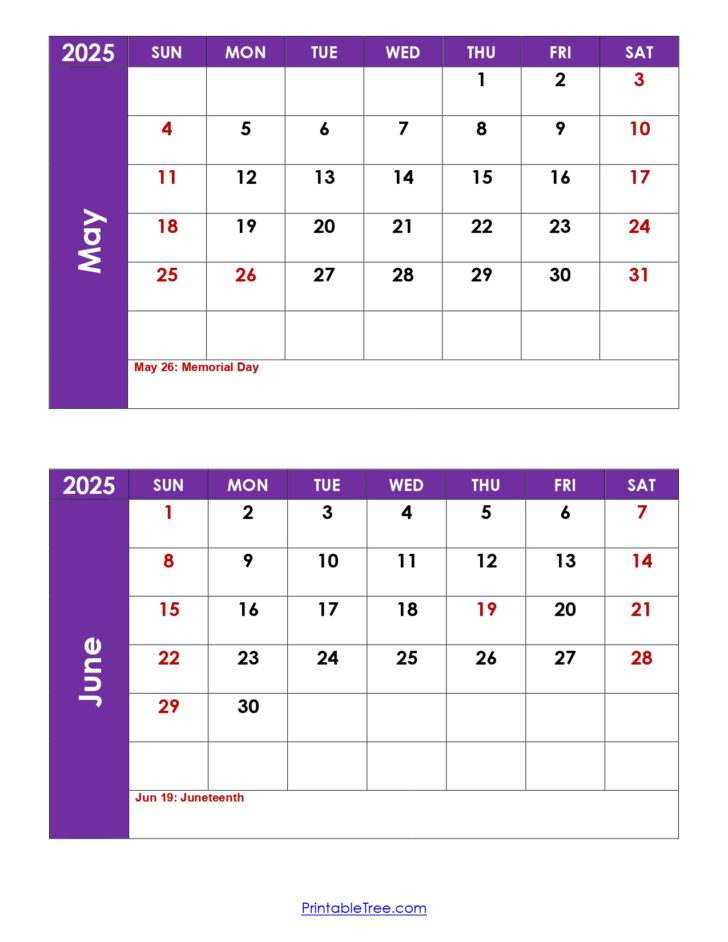 May and June 2025 Calendar Printable | Calendar 2025