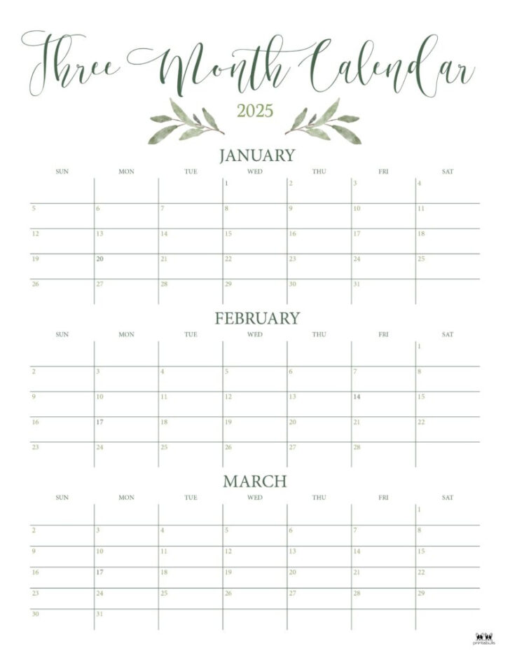 3 Month Calendar 2025 June July August | Calendar 2025