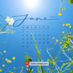 June 2025 Desktop Wallpaper Calendars | Entheosweb |  Calendar 2025