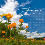 June 2025 Desktop Wallpaper Calendars | Entheosweb | June 2025 Calendar Desktop Wallpaper
