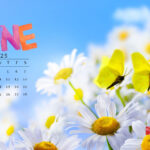 June 2025 Desktop Wallpaper Calendars | Entheosweb | June Calendar 2025 Desktop Wallpaper