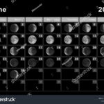 June 2025 Lunar Calendar Moon Cycles Stock Illustration 2213849551 | Full Moon Calendar For June 2025