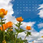 June 2025 Phone Wallpaper & Lockscreen Backgrounds | Entheosweb |  Calendar 2025